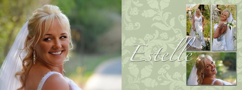 Pro wedding photographer Pierre Bassani